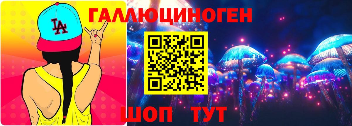 сколько стоит  Вход с VPN  Минусинск  Галлюциногенные грибы Psilocybine cubensis 