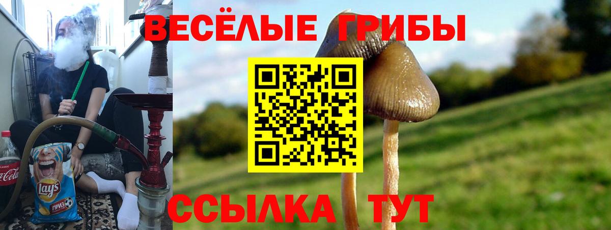 Галлюциногенные грибы мицелий Минусинск